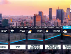 20mezegr_vtr2_n20260317_v1 (צילום: חדשות)