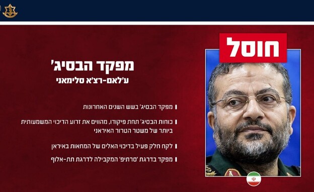 מפקד ארגון הבסיג', ע'לאם רצ'א סלימאני חוסל