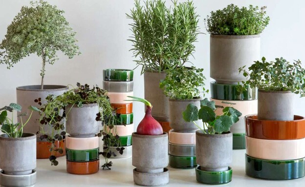 Copy of טולמנ'ס