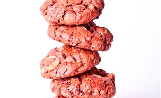 מתכוני עוגיות שוקולד צ'יפס ללא קמח לפסח