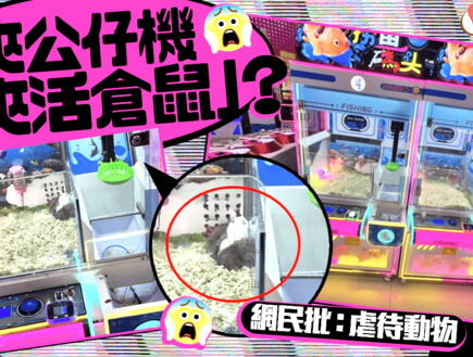 לא מוסרי: הפרס האכזרי של מכונות המזל בסין