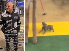 שמשון מותגים והכלב שתועד משוחרר בגינת משחקים