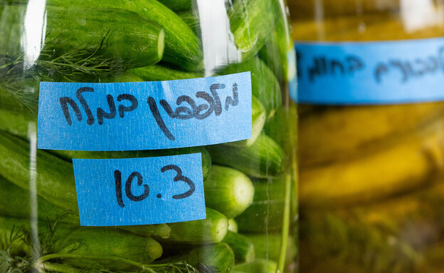 מה חשוב לכם יותר - המהירות או האיכות?