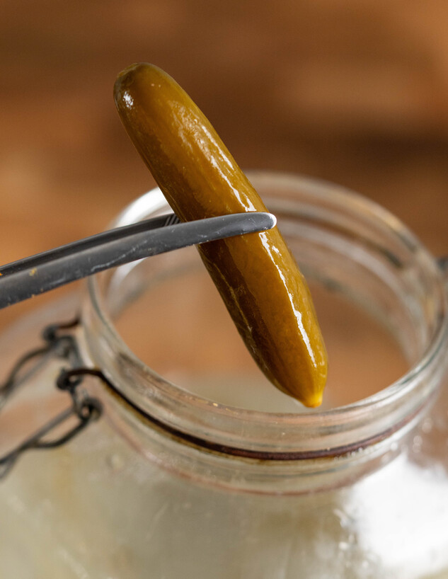 מלפפון בחומץ. למי שצריך חמוצים ועכשיו