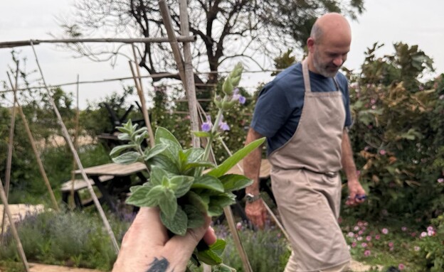 מוטי סופר בגינה של חצר אחורית מוטי סופר בגינה של חצר אחורית