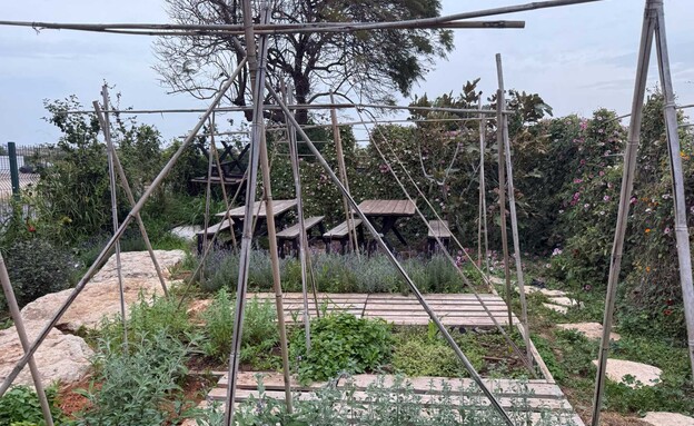 הפינה הסודית של חצר אחורית הפינה הסודית של חצר אחורית