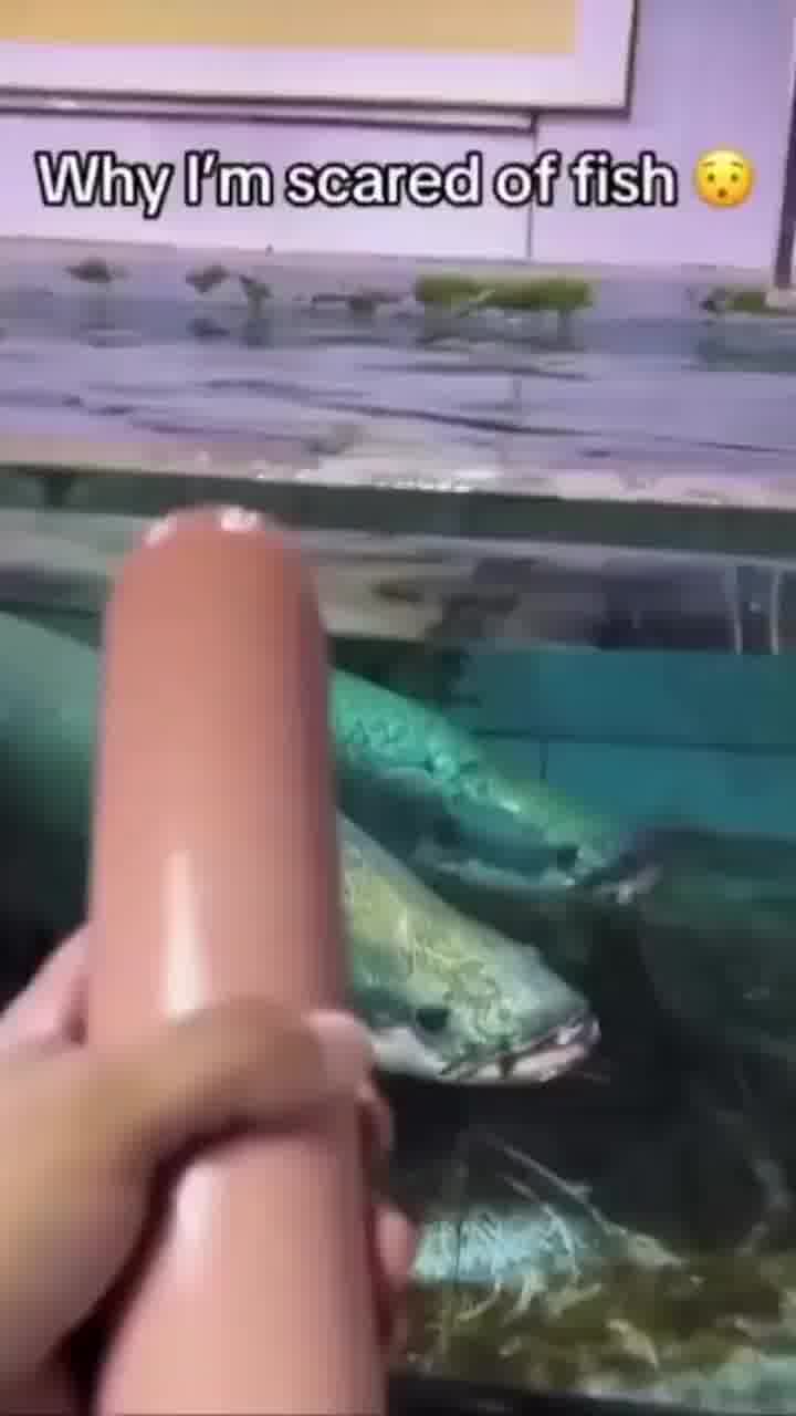 "זה למה אני מפחד מדגים" 