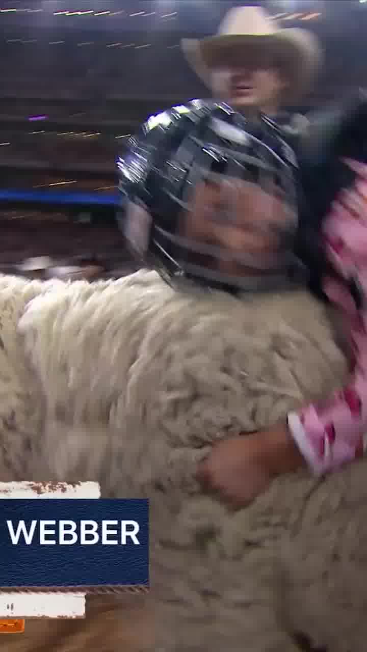 הכבש החליט לסגור חשבון