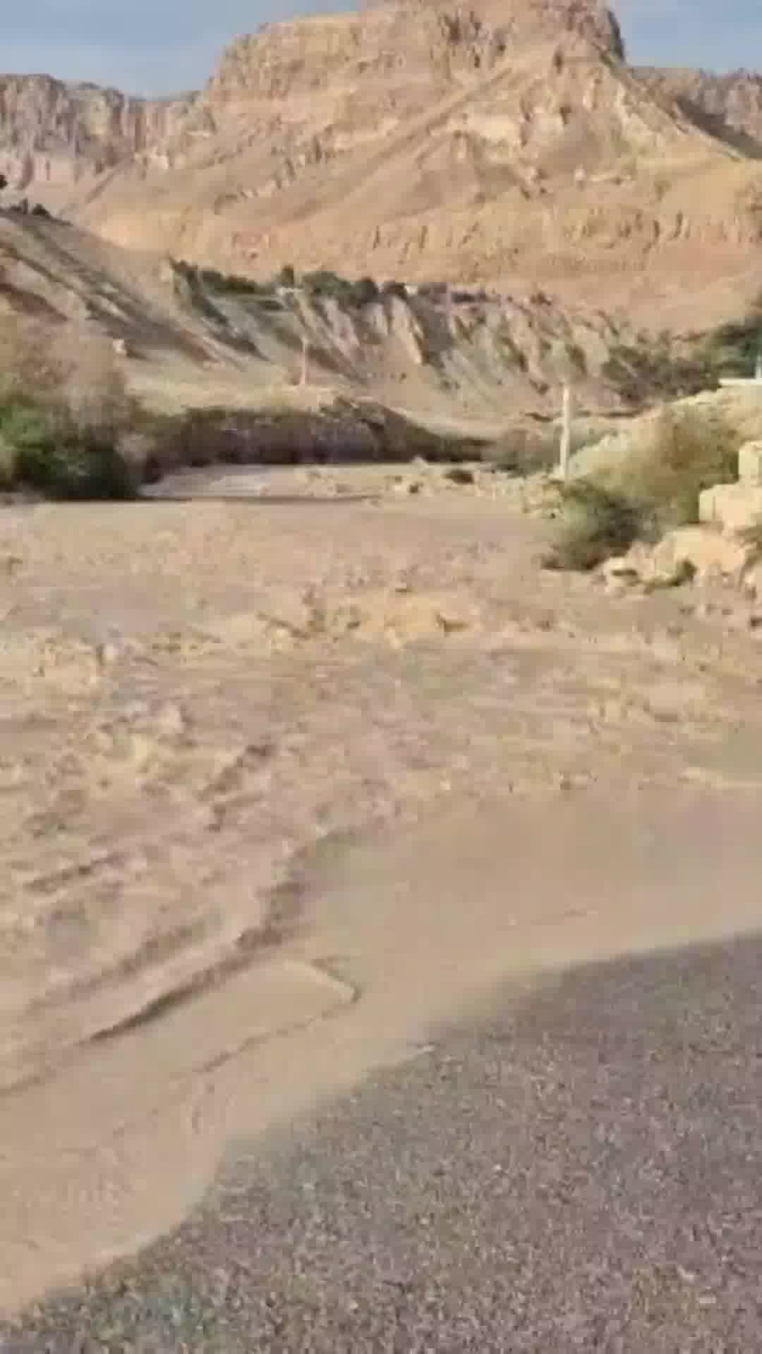 לא רק מלחמה: הזרימה בנחל ערוגות הבוקר אחרי הגשמים שירדו הלילה