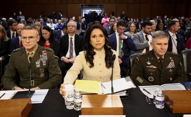 ראש המודיעין הלאומי טולסי גבארד בשימוע בסנאט (צילום: רויטרס)
