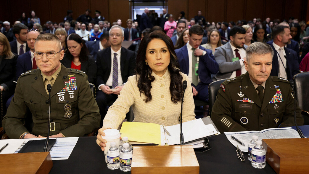 ראש המודיעין הלאומי טולסי גבארד בשימוע בסנאט