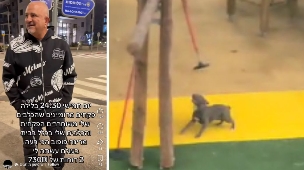 שמשון מותגים והכלב שתועד משוחרר בגינת משחקים