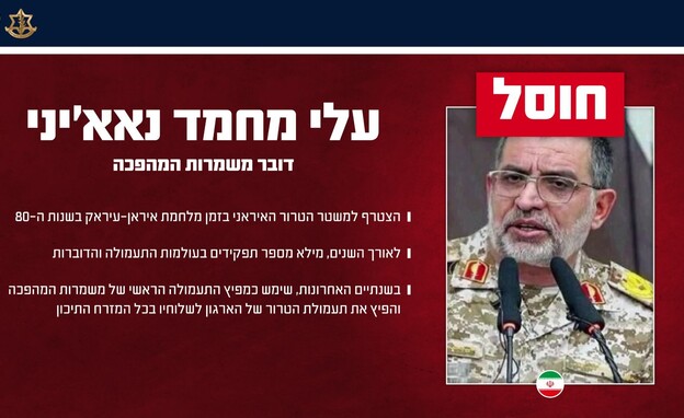 חיסול עלי מחמס נאא'יני