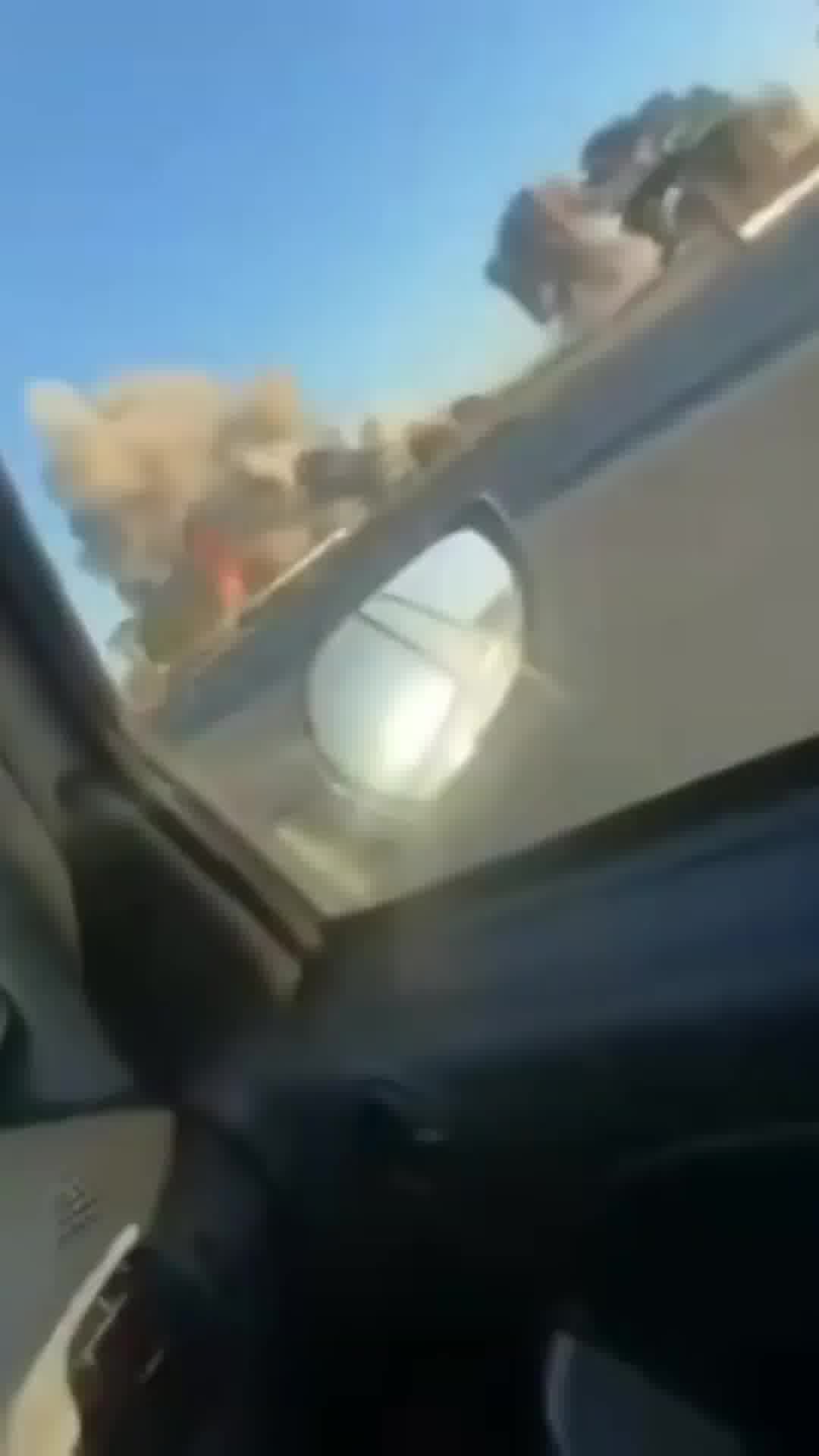 דובר צה"ל: צה״ל החל לתקוף מטרות של משטר הטרור האיראני במרחב נור