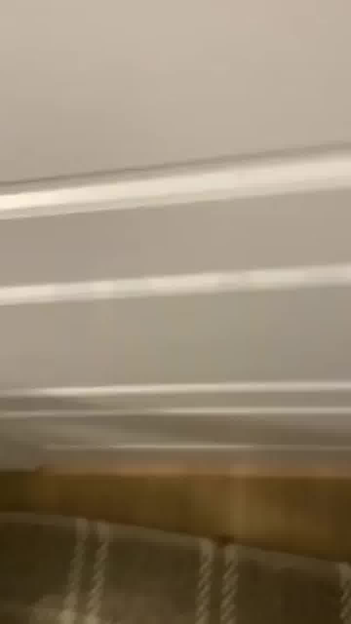 תיעוד אלים של כוכבת הריאליטי טיילור פרנקי פול הביא לביטול העונה החדשה "הרווקה"