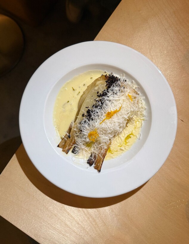 שומר מופתי. קוטה החדשה שומר מופתי. קוטה החדשה