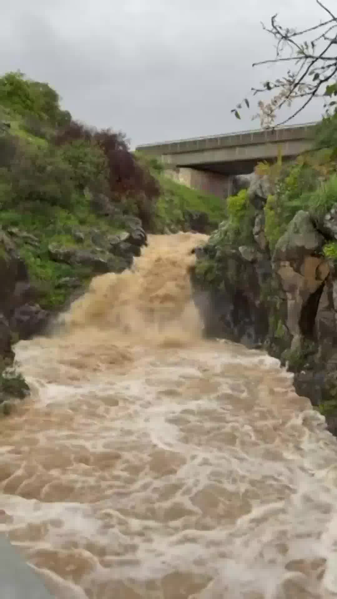 תיעוד נוסף מהזרימות בנחל סער ביום הראשון של האביב