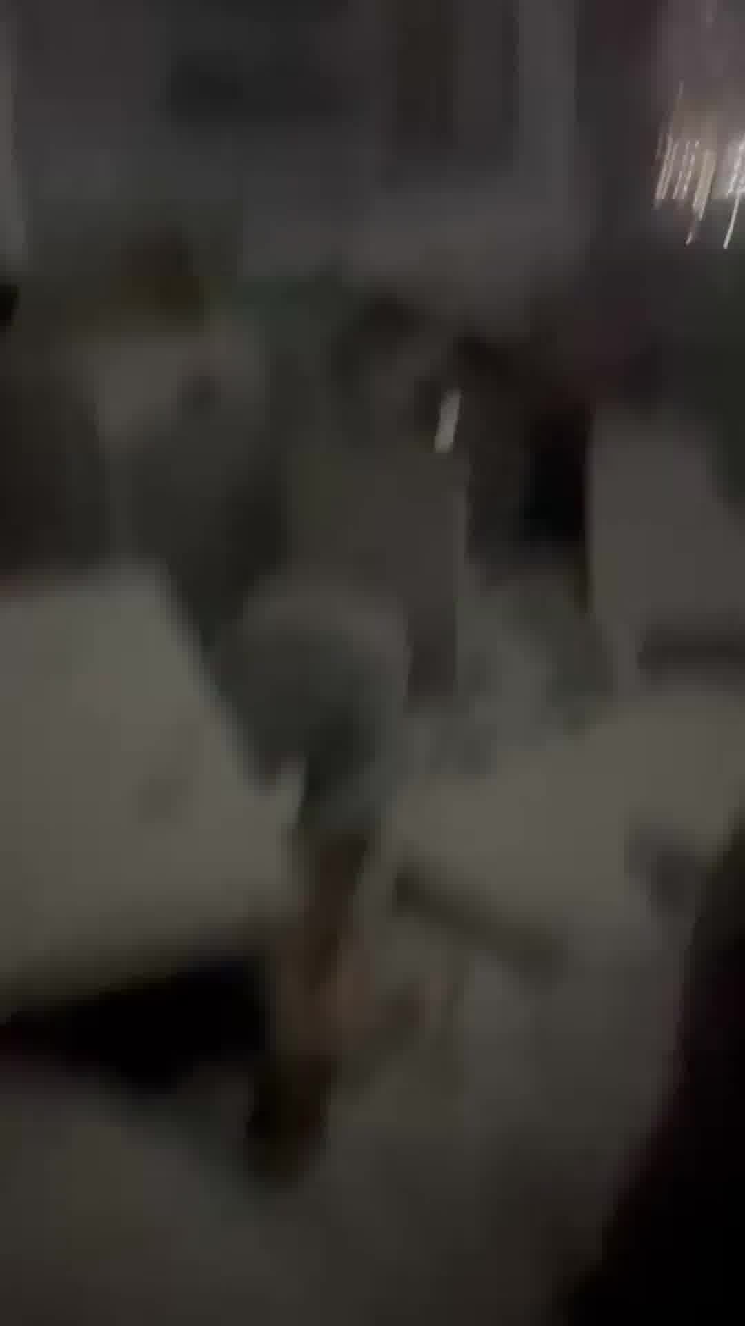 תיעוד מזירת הפגיעה במעלות