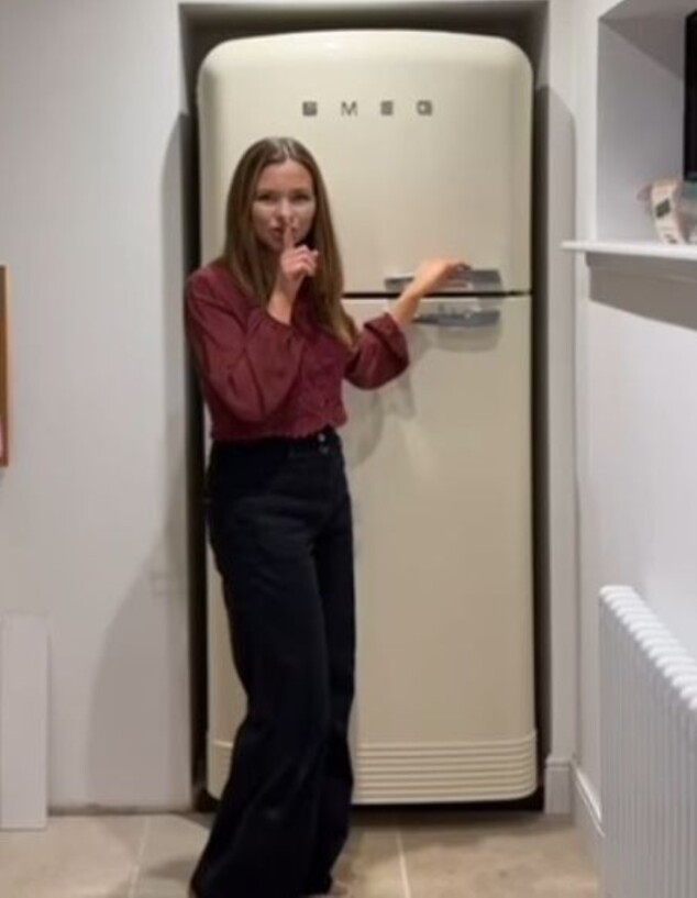 החדר שמאחורי המקרר