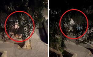 מנסר את המנעול עם מסור דיסק - ובורח עם האופניים