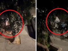 מנסר את המנעול עם מסור דיסק - ובורח עם האופניים