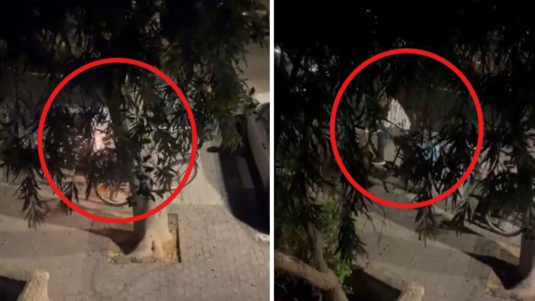 מנסר את המנעול עם מסור דיסק - ובורח עם האופניים