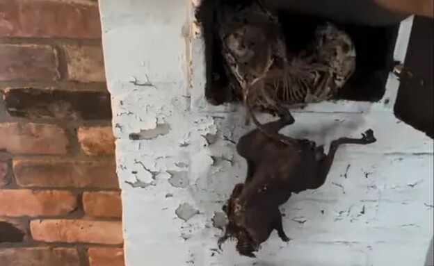 שרה ברליס ודלת הסתרים שרה ברליס ודלת הסתרים