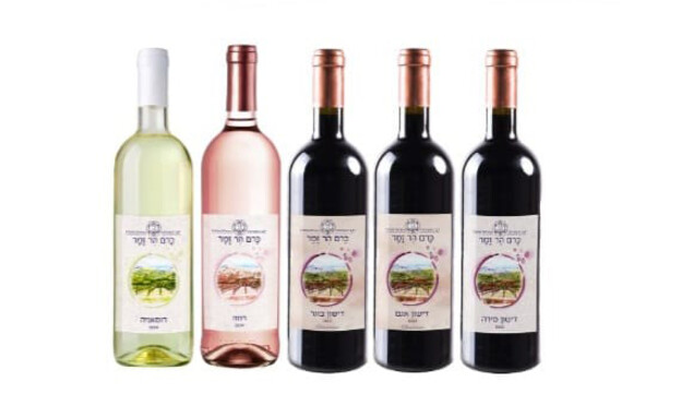 כרם הר זמר דישון