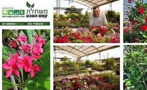 קסם הטבע (צילום: יחצ)