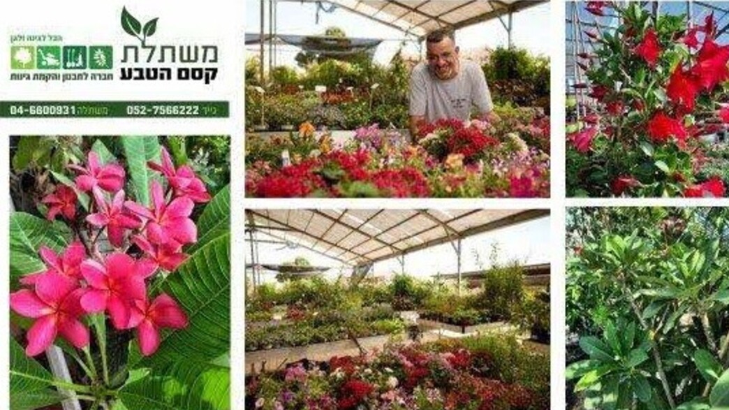 קסם הטבע קסם הטבע