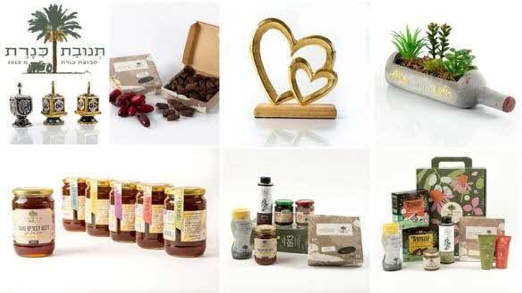 תנובת כנרת תנובת כנרת