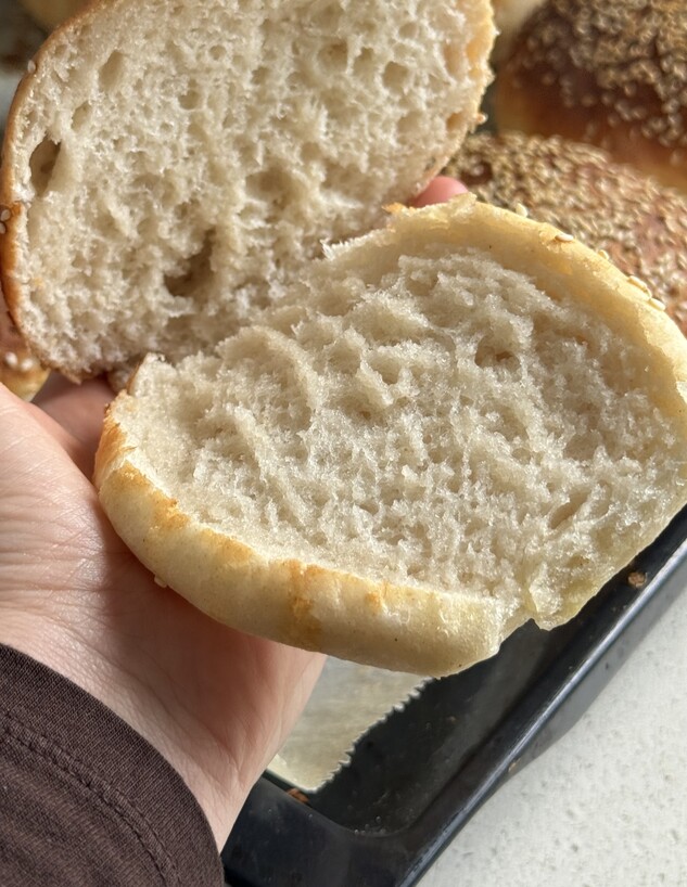 לחמנייה לכל דבר! 