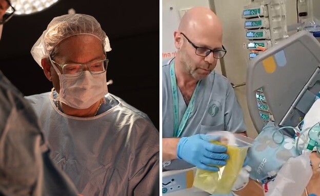 הפרופסורים המסורים הפרופסורים המסורים