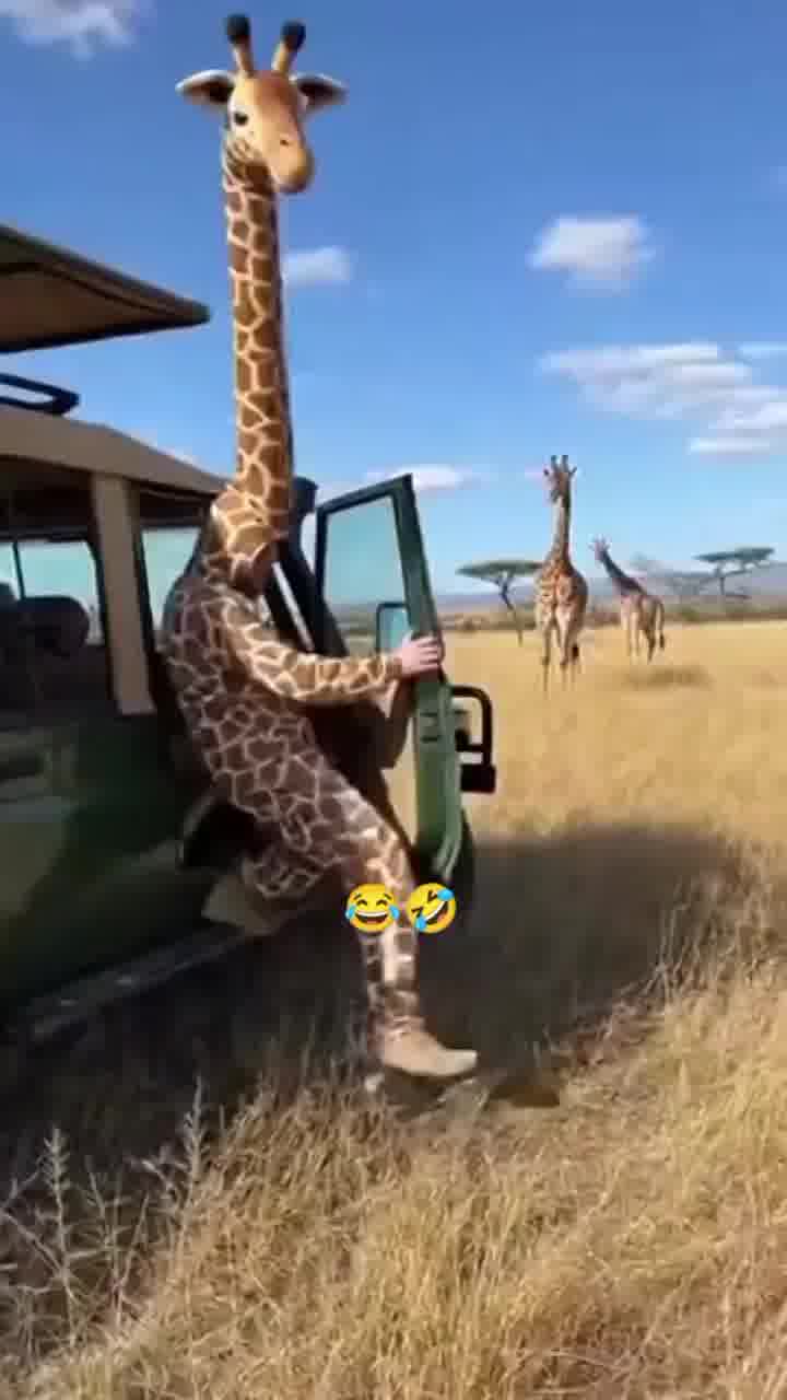 עכשיו בוא נראה אותך עושה את אותו הדבר עם תחפושת של אריה וניגש לברך את מלך החיות