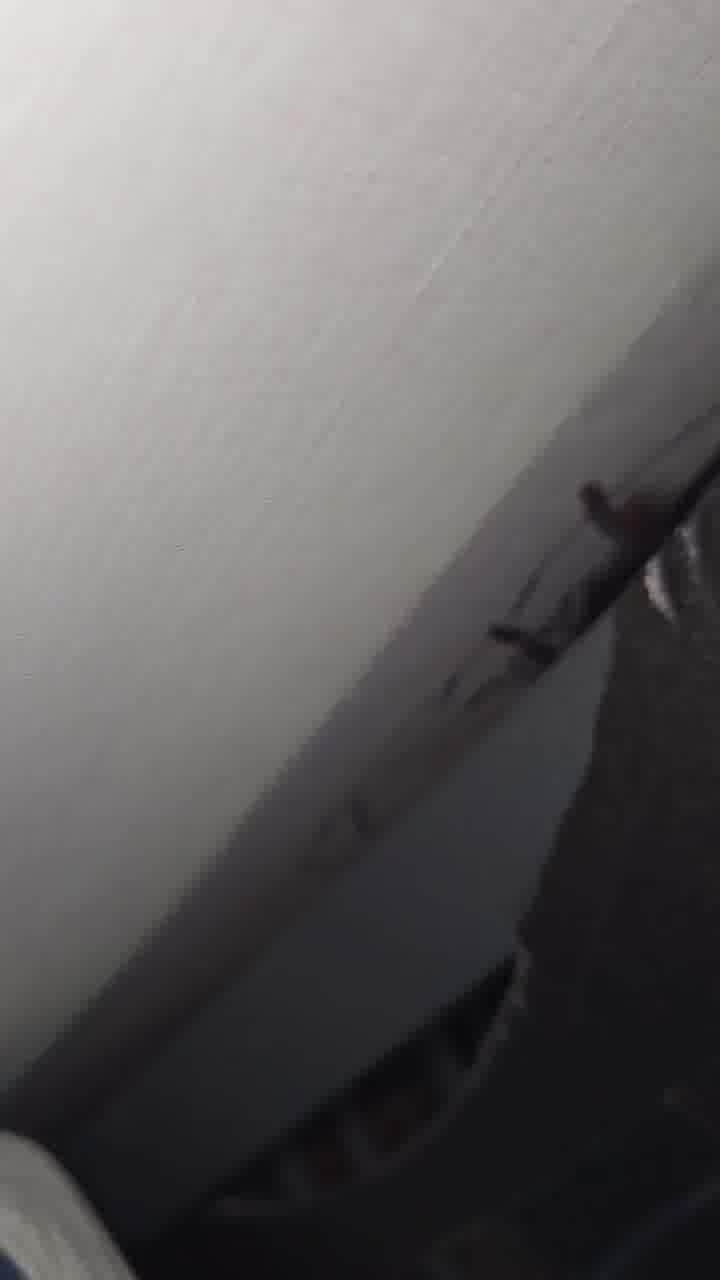 לא הרבה יודעים, אבל יש בעולם עכבישי טרנטולה בצבע כחול
