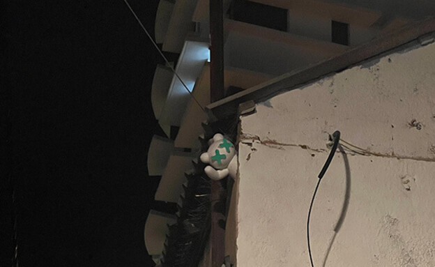 דובונים במרחב רחוב1 ג  (צילום: אלי רבזין)