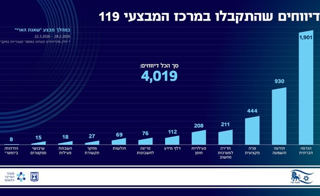 פגיעות סייבר ב"שאגת הארי"