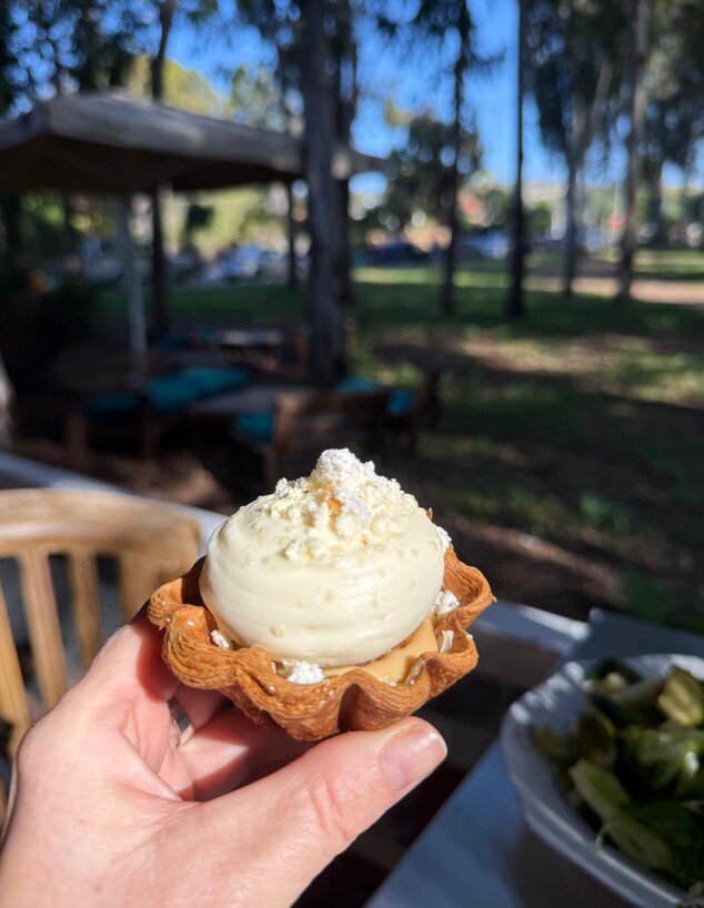 טארטלט צנוברים. מטרלו בנימינה טארטלט צנוברים. מטרלו בנימינה