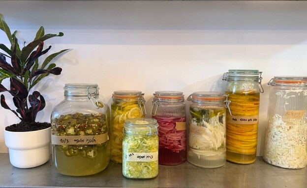 מטרלו בנימינה מטרלו בנימינה