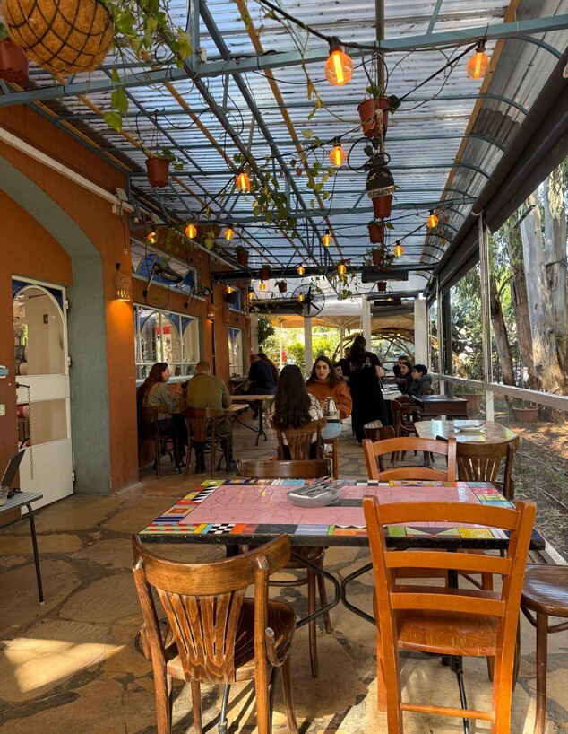 חצר שצופה לחורשת אקליפטוסים. מטרלו בנימינה חצר שצופה לחורשת אקליפטוסים. מטרלו בנימינה