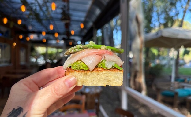 אחד משלושת הביסים. מטרלו בנימינה אחד משלושת הביסים. מטרלו בנימינה