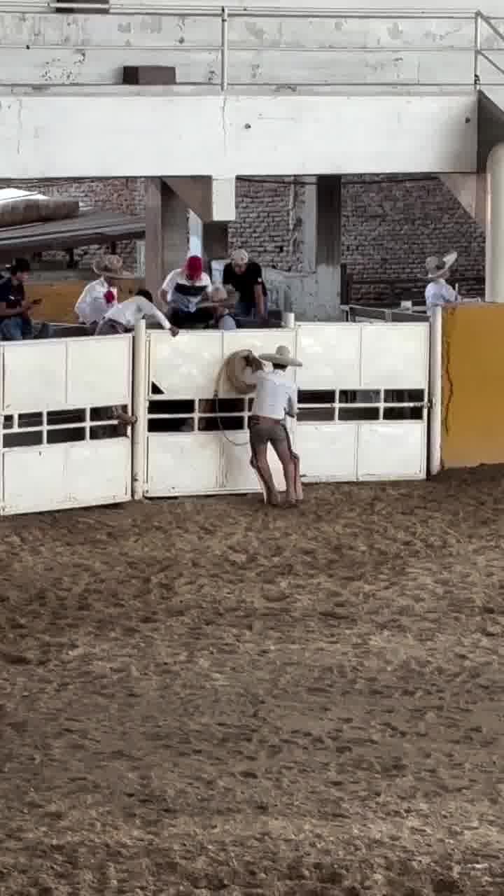 הידעתם? בעיטה אחורית של סוס יכולה להגיע למסה של כמעט 1,000 ק"ג