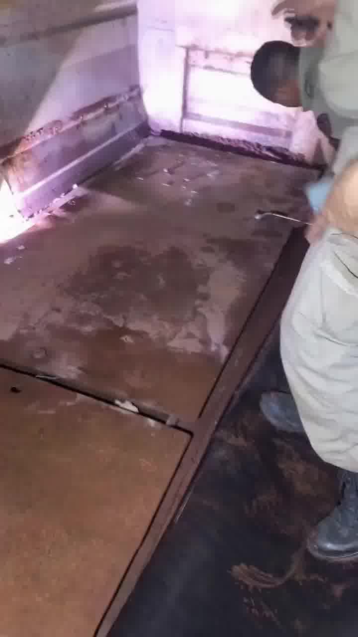 "אדוני השוטר, אני לא ראיתי את הדבר הזה מעולם"