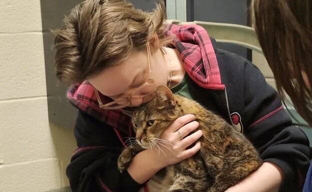 החתולה ארטמיס (צילום: Humane Society of Harford County)