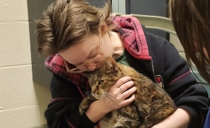 החתולה ארטמיס (צילום: Humane Society of Harford County)