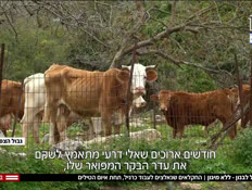 20haklaim_vtr2_20260325_v1 (צילום: חדשות)
