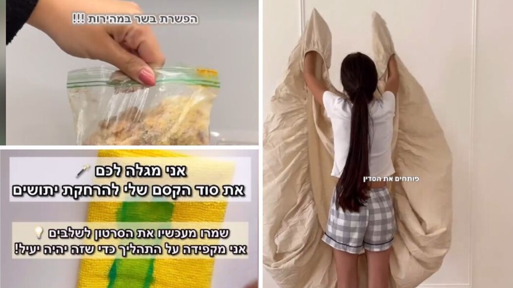 בלוגריות ניקיון