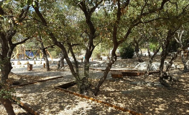 גן המייסדים גבעת עדה 