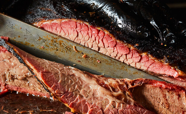 המעשנה בינוב המעשנה בינוב