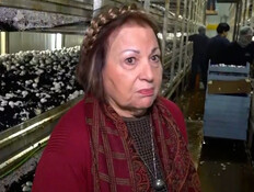 על גבול לבנון - ללא מיגון (צילום: חדשות)